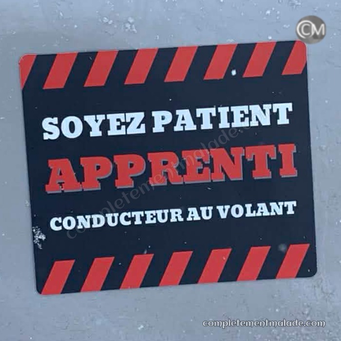 Apprenti conducteur au volant