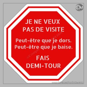 Aimant Je veux pas de visite. Peut-être que je dors. Peut-être que je baise. Fais demi-tour
