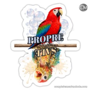 Aimant lave vaisselle propre ou sale OISEAUX